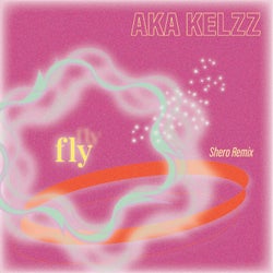 Fly Remixes