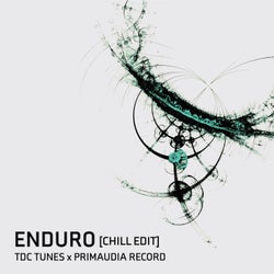 Enduro (Chill Edit)