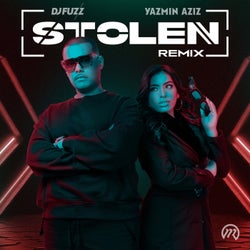 Stolen (Remix)