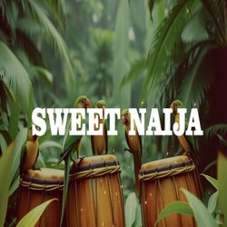 sweet naija instrumental afrobeat