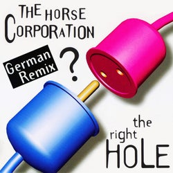 The Right Hole (German Remix)