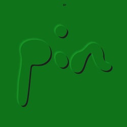 Pin