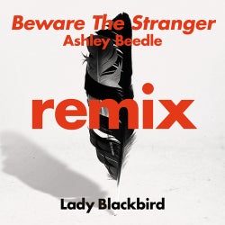 Beware The Stranger (Ashley Beedle Remix)