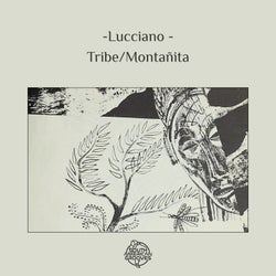 Tribe - Montañita