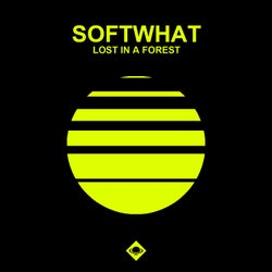 Lost In A Forest