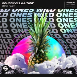 Wild Ones (Extended Mix)