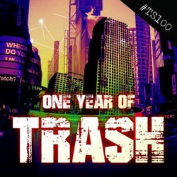 One Year Of Trash