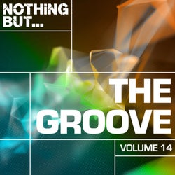 Nothing But... The Groove, Vol. 14