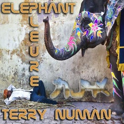 TERRY NUMAN
