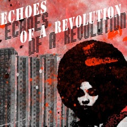 Echoes of a Revolution