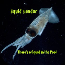 There's a Squid in the Pool