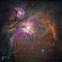 Orion