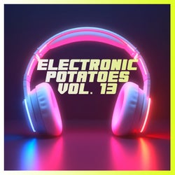 Electronic Potatoes Vol. 13