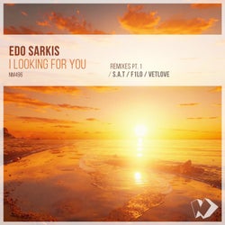I Looking for You: Remixes, Pt. 1