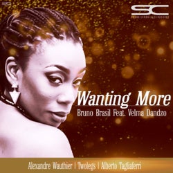 Wanting More  (Remixes)