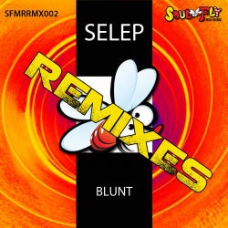 Blunt Remixes