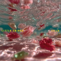 Little Things