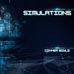 Simulations