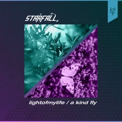 lightofmylife / a kind fly