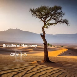 Breathe in Harmony