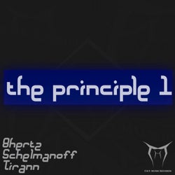 The Principle I