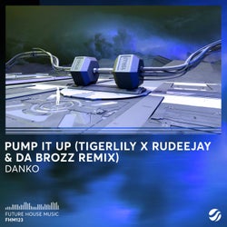 Pump It Up (Tigerlily x Rudeejay & Da Brozz Remix)