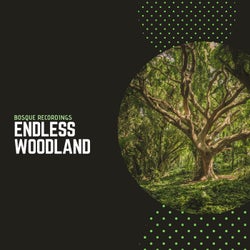 Endless Woodland