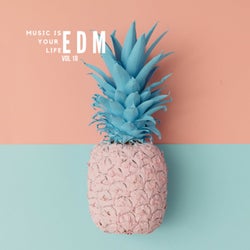 Music Is Your Life EDM, Vol.18