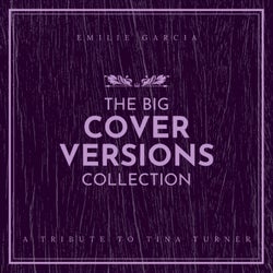The Big Cover Versions Collection (A Tribute To Tina Turner)