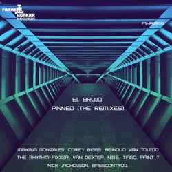 Pinned (The Remixes)