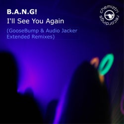 I'll See You Again (Goosebump & Audio Jacker Extended Remixes)