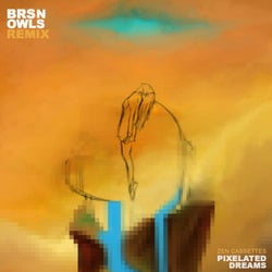 Pixelated Dreams (Brsnowls Remix)