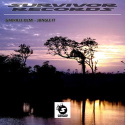 Jungle It (Original Mix)