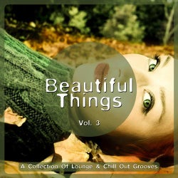 Beautiful Things Vol. 3 (A Collection Of Lounge & Chill Out Grooves)
