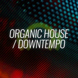 Opening Fundamentals: Organic House / Downt.