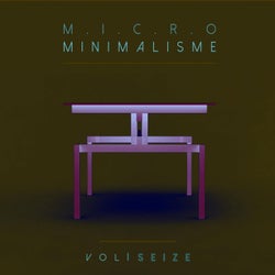 Micro Minimalisme Vol. Seize