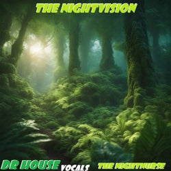 The Nightvision