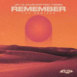 Remember (The Remixes)