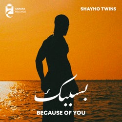 Because of You