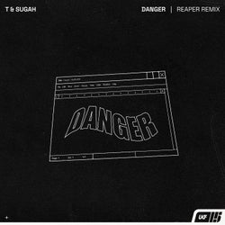 Danger - REAPER Remix