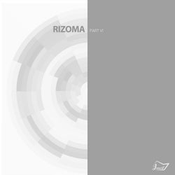 Rizoma 6
