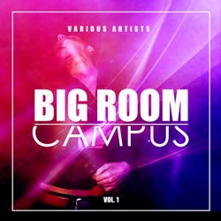 Big Room Campus, Vol. 1