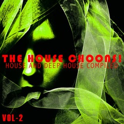 The House Choons!, Vol. 2