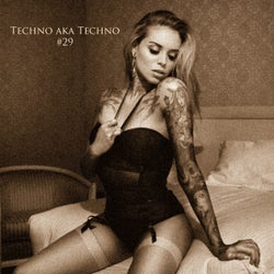 Techno Aka Techno #29