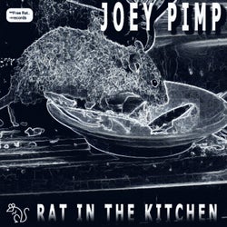 Rat in Da Kitchen