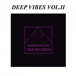 Deep Vibes Vol.II
