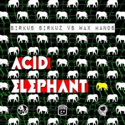 Acid Elephantember 2013