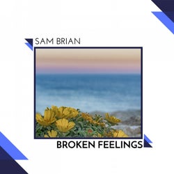 Broken Feelings