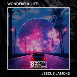 Wonderful Life