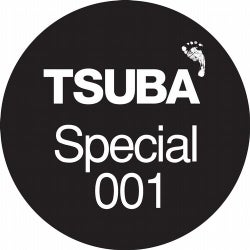 Tsuba Special 001